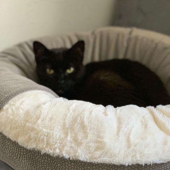 Meet your Posher, Shelley - Picture 1 of 1